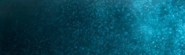 istock Glitter sparkling abstract blue bokeh defocused background, border design panoramic banner 1185036775