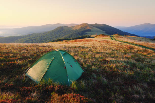 istock Green tent in spring mountains 1185037791