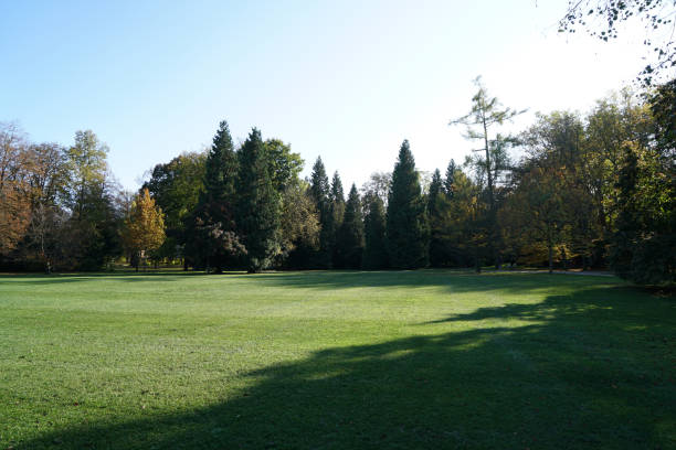 istock Back light shot on an autumn day in the german park 1185048290