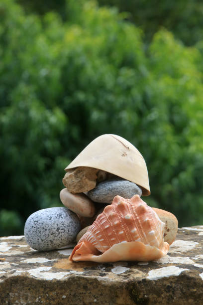 France. Saône-et-Loire. Bourgogne. Taizé. August, 16, 2015. This colorful image depicts a set of seashells and pebbles on a stone wall.