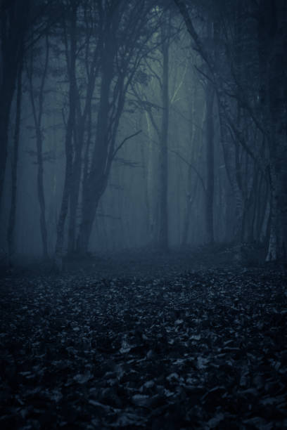 istock Gothic and dark forest with fog at night 1185049420