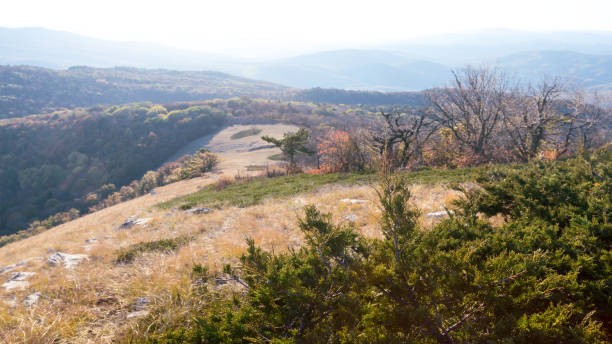 istock mountain valley in a blue mist scene 1185049887