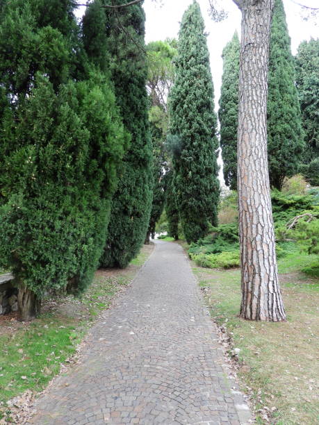 istock Park with Autumn colors 1185056313