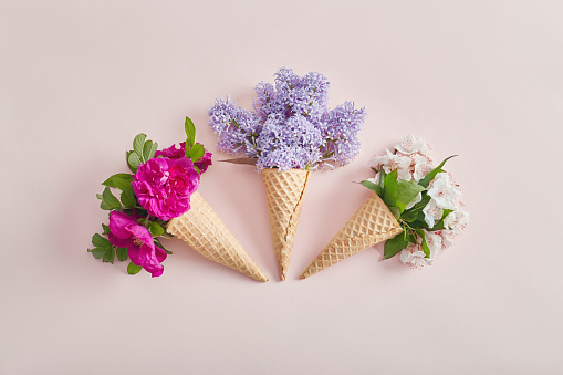 Bright flowers in a waffle cone on a pink paper background. Spring flowers, summer mood. Place for text, cosmetics from flowers of different plants