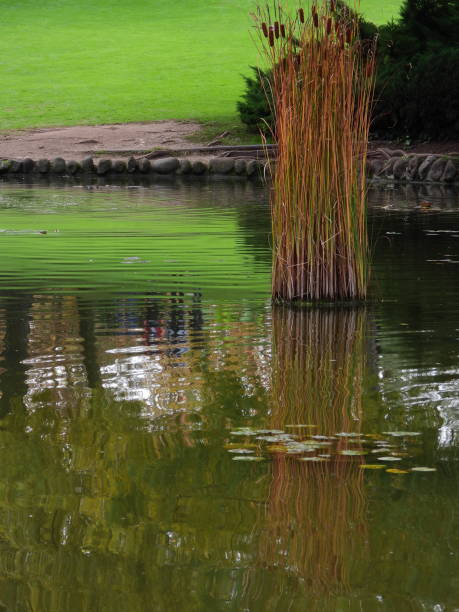 istock Park with Autumn colors 1185057681