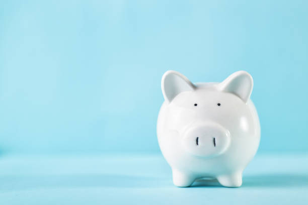istock Piggy Bank 1185058166