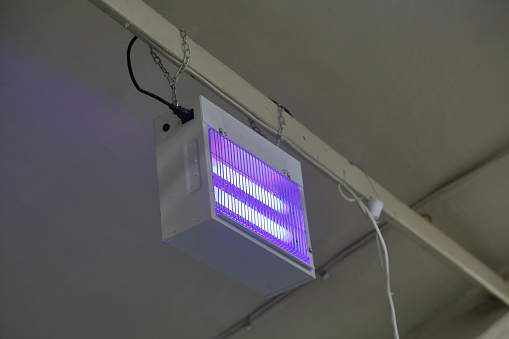 UV trap for flying insects in the food production workshop