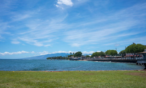 istock Lifestyles in Lahaina 1185060903