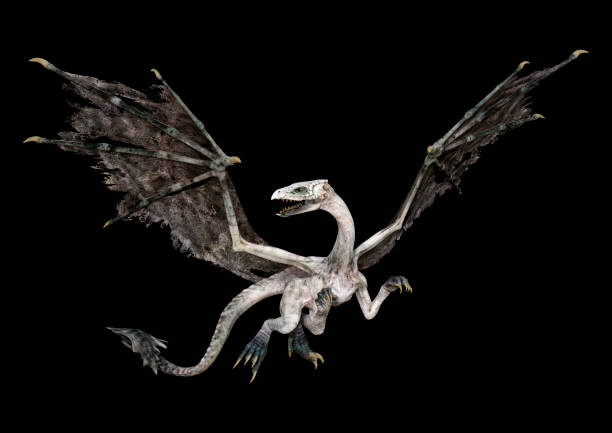 istock 3D illustration fantasy dragon on black 1185063754