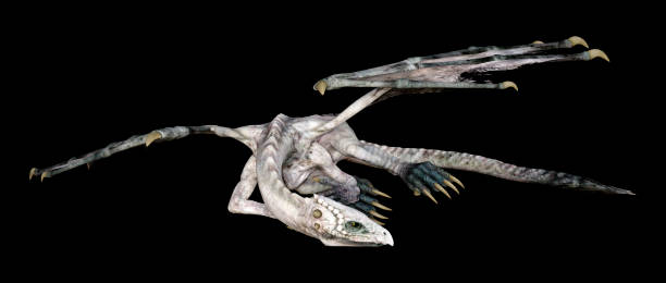 istock 3D illustration fantasy dragon on black 1185063756