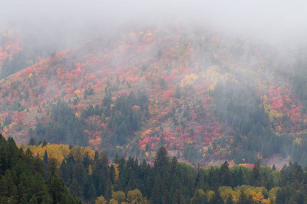 istock Scenic Snake River Canyon in Autumn 1185065002