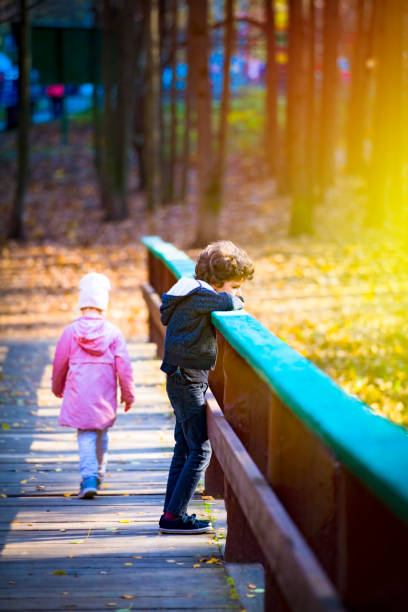 ritratto di una piccola coppia, fratello e sorella litigando su un ponte nella foresta autunnale. risentimento reciproco e concetto di conflitto. messa a fuoco selettiva. leggera sfocatura - pensive only baby girls baby girls baby foto e immagini stock