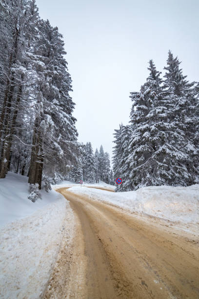 istock Dangerous slippery road through the mountains on a cold winter day 1185068603