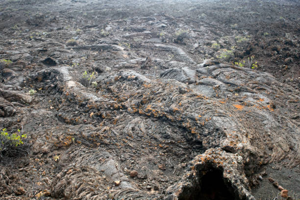 istock Volcanic landscape, El Hierro, Canary islands, Spain 1185070025