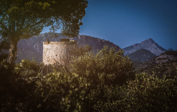 on the coast of the island mallorca, an ancient watchtower surrounded by pine trees and green land