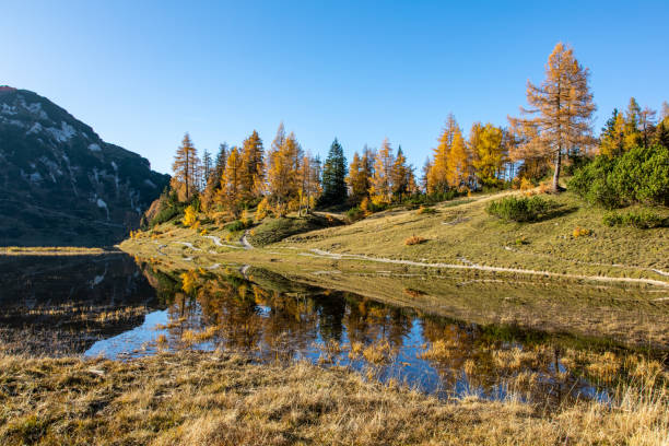 istock Tauplitz Grosssee in Styria, Austrian Alps 1185080951