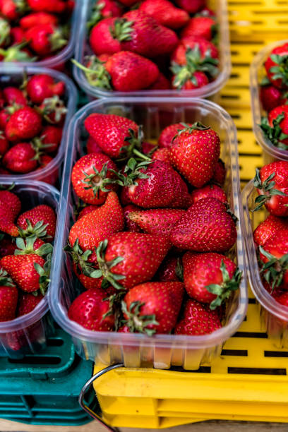 istock Strawberries at the Market Stall 1185083280