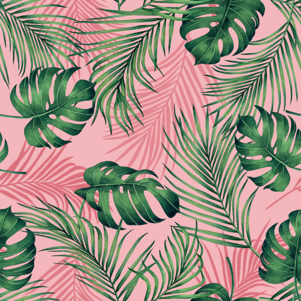 istock Watercolor painting monstera,coconut leaves seamless pattern with shadow on pink background.Watercolor llustration palm,pink leaf,tree tropical exotic leaf for wallpaper textile vintage Hawaii style. 1185084707