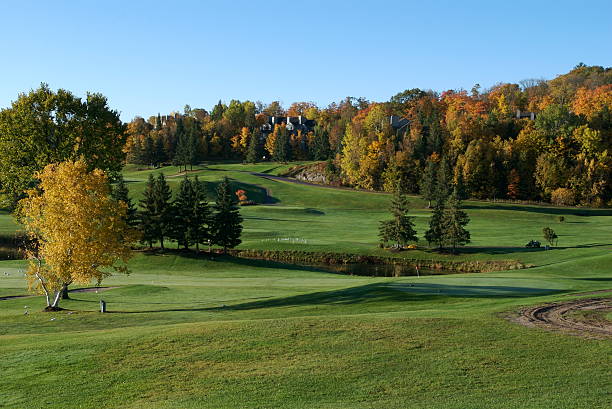 Golf course near Deerhurst resort stock photo