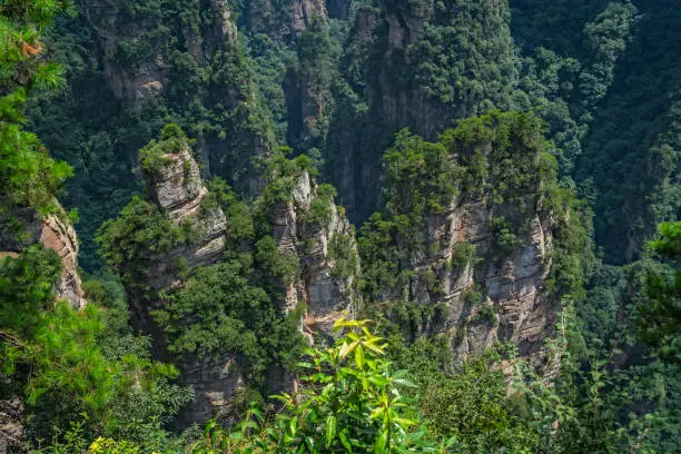 Photo of Vertical karst pillar rock formations seen from the Enchanting terrace viewpoint