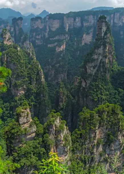 Photo of Vertical karst pillar rock formations seen from the Enchanting terrace viewpoint