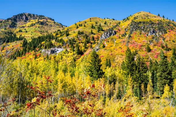 istock Beautiful Mountains with Colorful Autumn Colors 1185090232