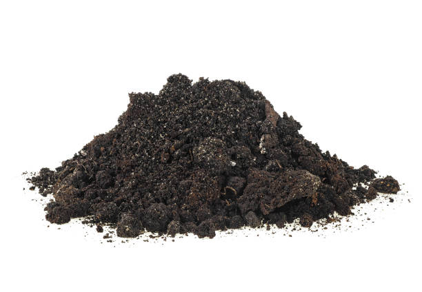 istock Dirt, pile of soil isolated on a white background. 1185093595