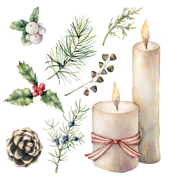 キャンドルと水彩のクリスマスの装飾。手描きの松の円錐、弓、ジュニパーとモミの枝、ヒイラギとスノーベリーは白い背景に隔離されています。デザイン、印刷、ファブリック、背景のイ� - pine tree pine cone branch isolated点のイラスト素材／クリップアート素材／マンガ素材／アイコン素材