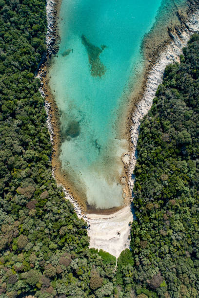 istock Aerial view of a coast and beach 1185095948