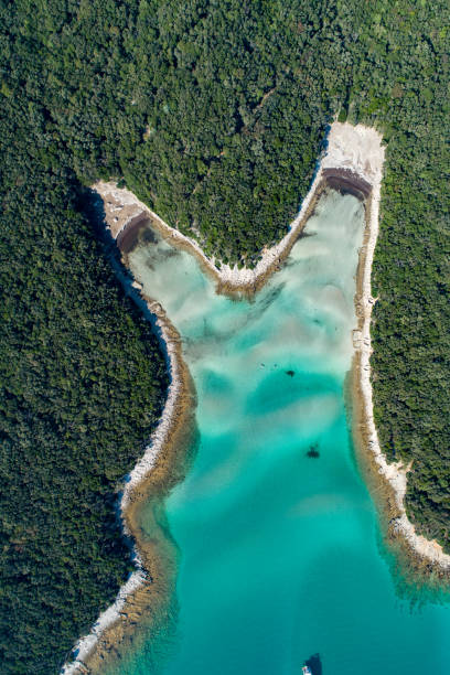 istock Aerial view of a coast and beach 1185096039