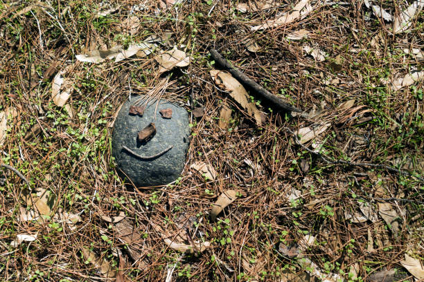 Gray stone with a funny smiling face lying on a forest floor covered with fallen dry pine needles, sticks and leaves