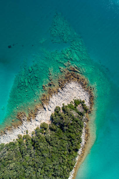 istock Aerial view of a coast and beach 1185096782