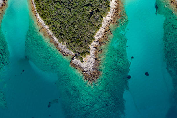 istock Aerial view of a coast and beach 1185096982