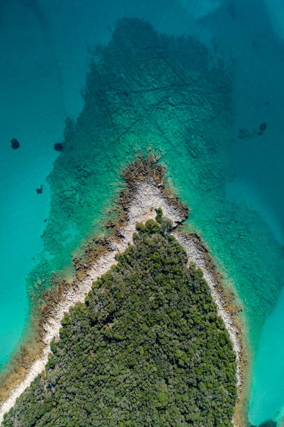 istock Aerial view of a coast and beach 1185096983