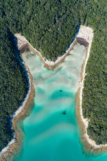 istock Aerial view of a coast and beach 1185097039
