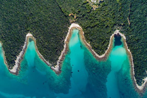 istock Aerial view of a coast and beach 1185097077