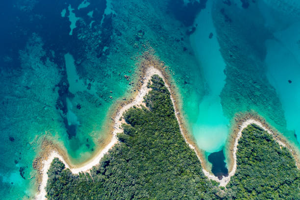 istock Aerial view of a coast and beach 1185097196
