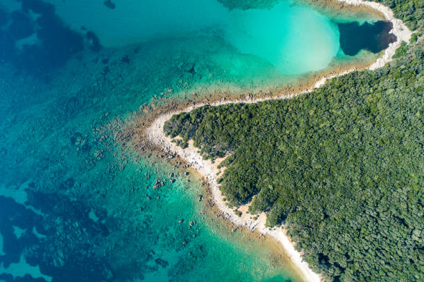 istock Aerial view of a coast and beach 1185097245