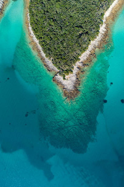 istock Aerial view of a coast and beach 1185097298