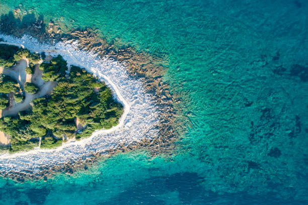 istock Aerial view of a coast and beach 1185097858