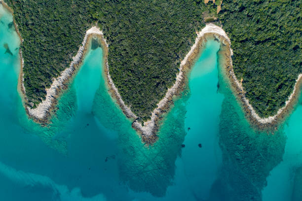 istock Aerial view of a coast and beach 1185097982