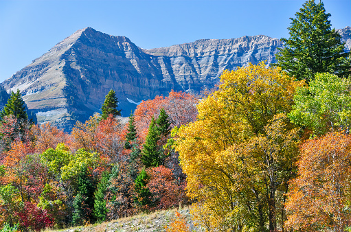 Autumn Scene with view of Mountains in Utah