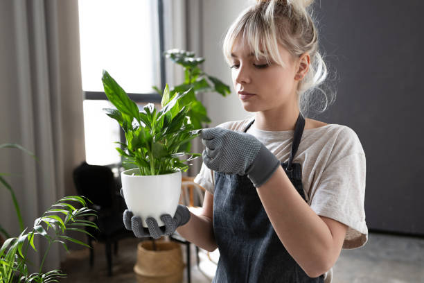 istock girl with a plant in her hands 1185101818