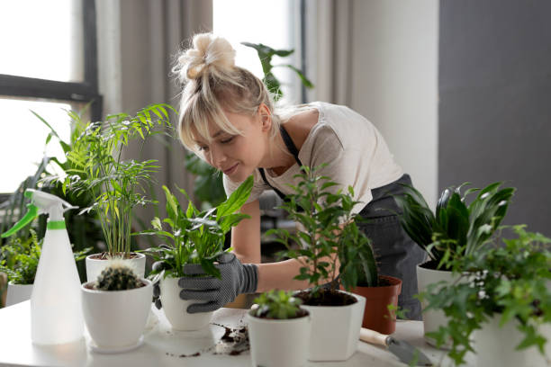 istock woman grows tropical plants 1185101891
