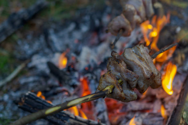 istock Pork meat on a wooden peg is fried on a bonfire over burning coals. 1185104854