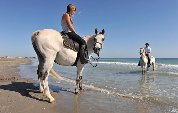 istock horseback riding on the beach 118510638