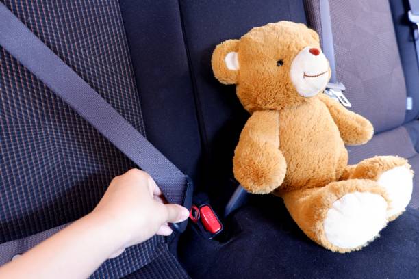 istock The picture shows an example of using a child safety belt with a teddy bear. 1185106420