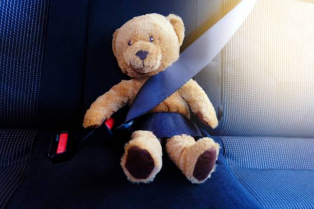 istock The picture shows an example of using a child safety belt with a teddy bear. 1185106448