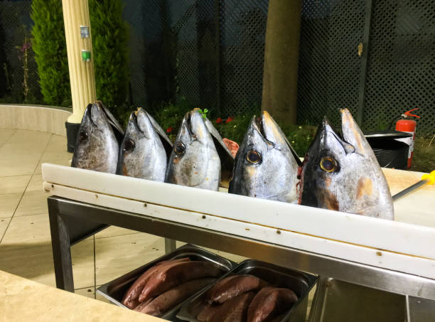 外のレスタウロントキッチンのテーブルの上に5つの大きなカットマグロの頭。 - big eye tuna ストックフォトと画像