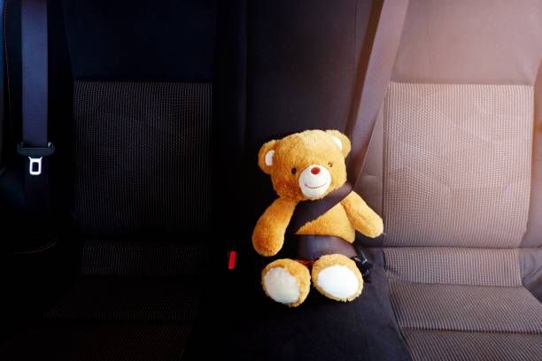istock The picture shows an example of using a child safety belt with a teddy bear. 1185106695
